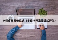 小程序开发傻瓜式（小程序开发傻瓜式开发）