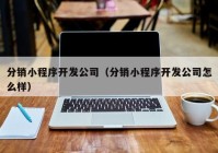 分销小程序开发公司（分销小程序开发公司怎么样）