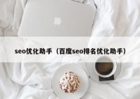 seo优化助手（百度seo排名优化助手）