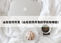 山东软件开发（山东软件开发的学校有哪些）