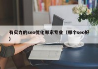 有实力的seo优化哪家专业（哪个seo好）