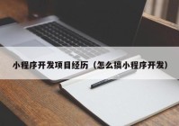 小程序开发项目经历（怎么搞小程序开发）