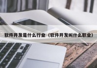 软件开发是什么行业（软件开发叫什么职业）