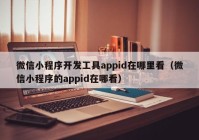 微信小程序开发工具appid在哪里看（微信小程序的appid在哪看）