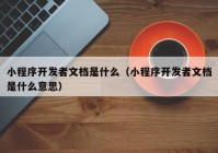 小程序开发者文档是什么（小程序开发者文档是什么意思）