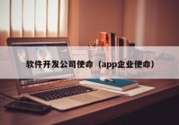 软件开发公司使命（app企业使命）