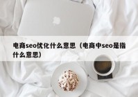 电商seo优化什么意思（电商中seo是指什么意思）