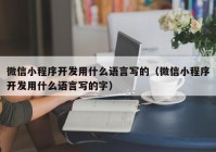 微信小程序开发用什么语言写的（微信小程序开发用什么语言写的字）