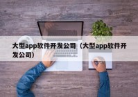 大型app软件开发公司（大型app软件开发公司）