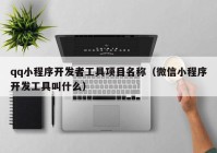 qq小程序开发者工具项目名称（微信小程序开发工具叫什么）