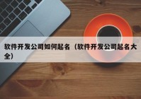 软件开发公司如何起名（软件开发公司起名大全）