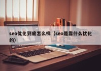 seo优化到底怎么样（seo是靠什么优化的）