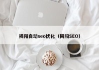 揭阳自动seo优化（揭阳SEO）