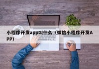 小程序开发app叫什么（微信小程序开发APP）