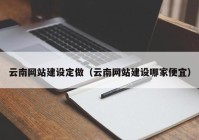 云南网站建设定做（云南网站建设哪家便宜）