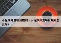 小程序开发项目规划（小程序开发项目规划怎么写）