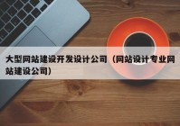 大型网站建设开发设计公司（网站设计专业网站建设公司）