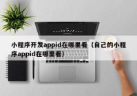 小程序开发appid在哪里看（自己的小程序appid在哪里看）