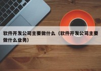 软件开发公司主要做什么（软件开发公司主要做什么业务）